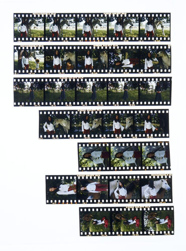 TON_M_Contact_177: Sarah Miles