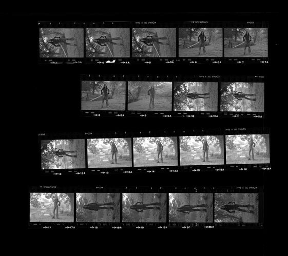 TON_M_Contact_182: Sarah Miles