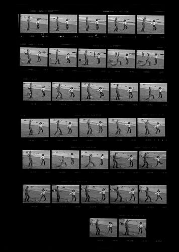 TON_M_Contact_193: Sarah Miles