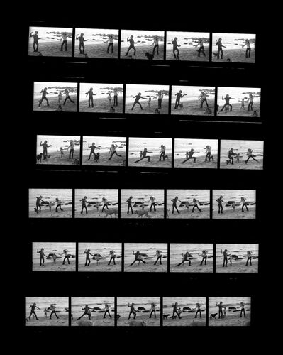 TON_M_Contact_194: Sarah Miles