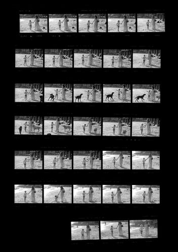 TON_M_Contact_201: Sarah Miles