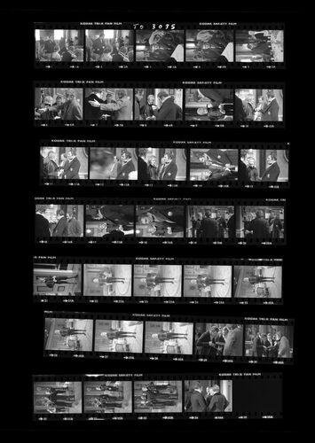 TON_M_Contact_203: Sarah Miles