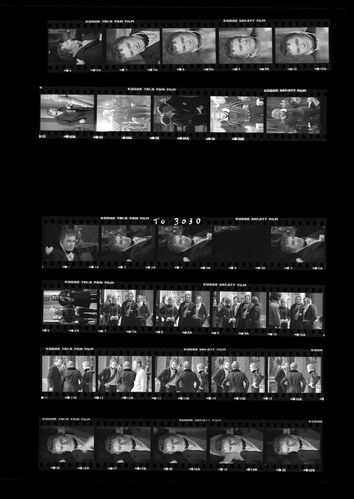 TON_M_Contact_206: Sarah Miles