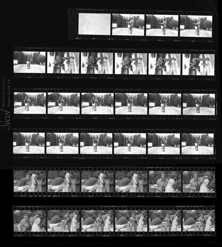 TON_Moore_Contact_001b: Dancing On A Diving Board