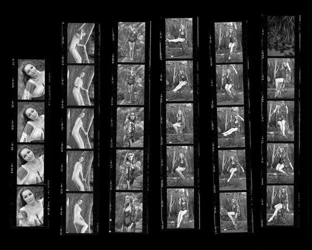 TON_N_Contact_046: Julie Newmar