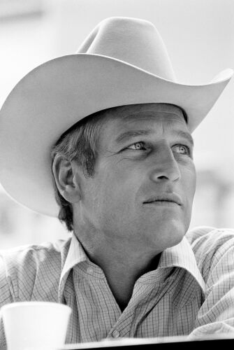 TON_PN037: Paul Newman