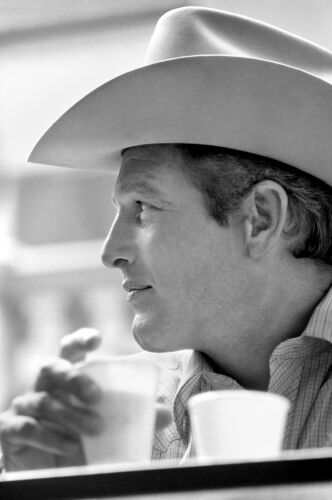 TON_PN038: Paul Newman