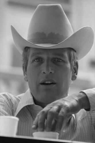 TON_PN039: Paul Newman