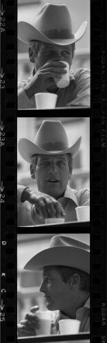 TON_PN042: Paul Newman