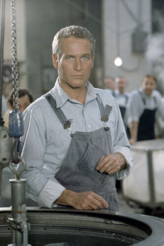 TON_PN043: Paul Newman