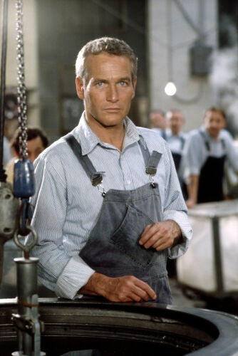 TON_PN087: Paul Newman