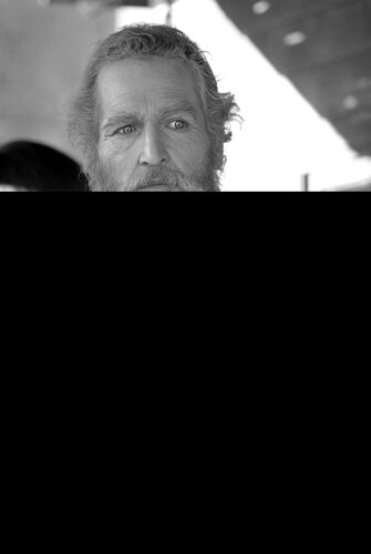 TON_PN103: Paul Newman