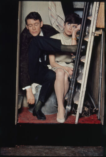 TON_POTinAH114: Audrey Hepburn and Peter O'Toole