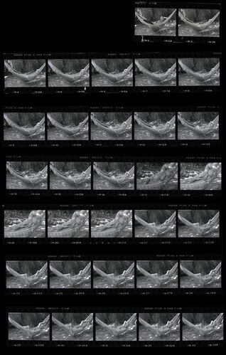 TON_P_Contact_022: Nina van Pallandt