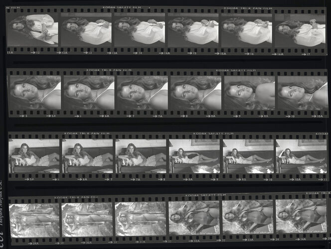 TON_P_Contact_052: Priscilla Presley