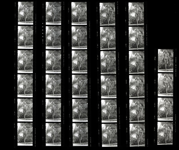 TON_P_Contact_068: Priscilla Presley