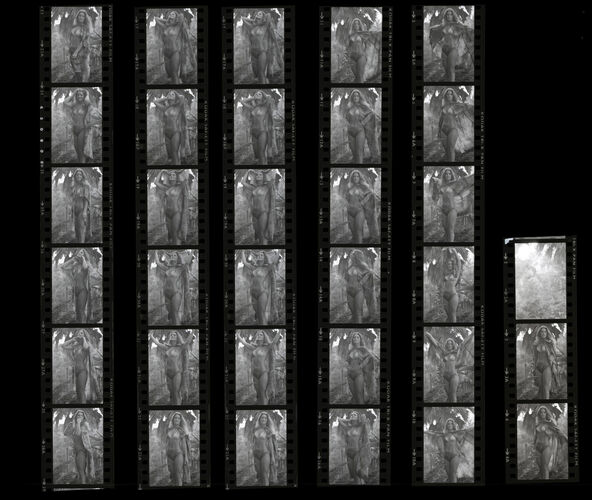 TON_P_Contact_087: Priscilla Presley