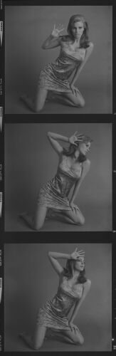 TON_RW110 copy: Raquel Welch