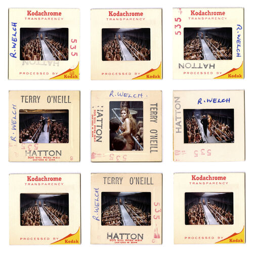 TON_RW329: Raquel Welch