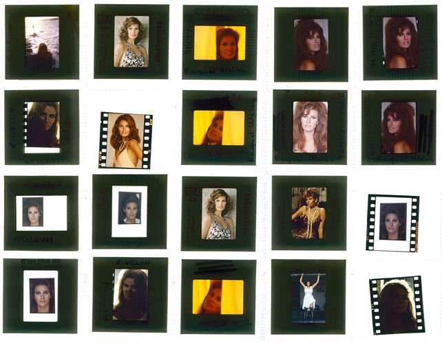 TON_Raquel_Contact_022: Raquel Welch