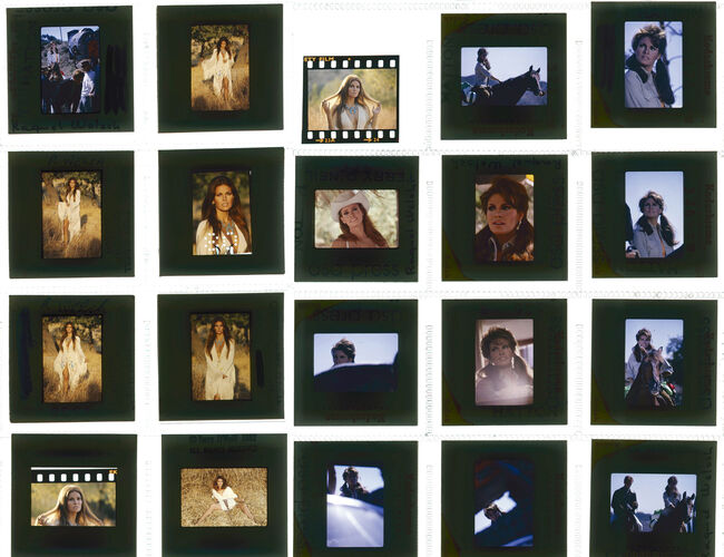 TON_Raquel_Contact_025: Raquel Welch