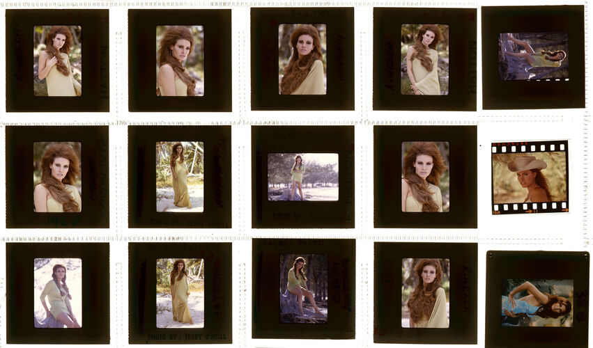 TON_Raquel_Contact_026: Raquel Welch