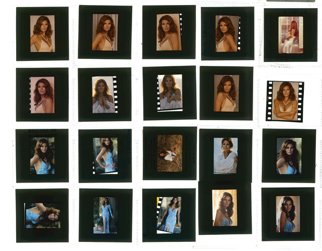 TON_Raquel_Contact_027: Raquel Welch