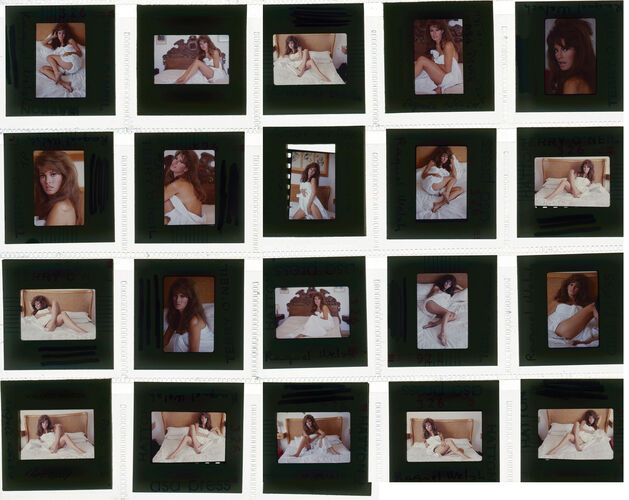 TON_Raquel_Contact_028: Raquel Welch