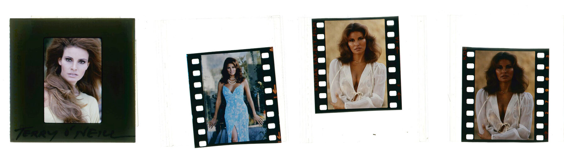 TON_Raquel_Contact_031: Raquel Welch