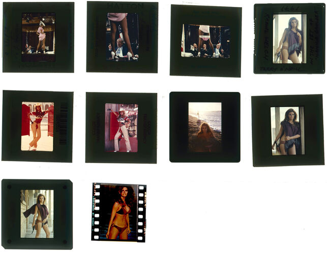 TON_Raquel_Contact_056: Raquel Welch