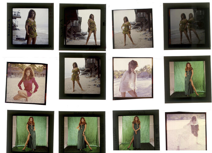 TON_Raquel_contact_069: Raquel Welch