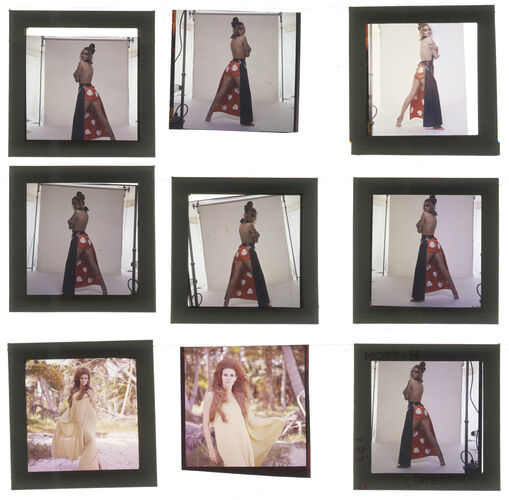 TON_Raquel_contact_074: Raquel Welch