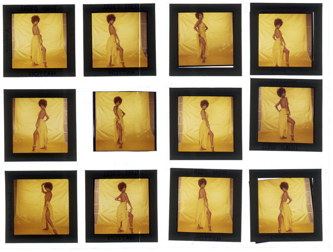 TON_Raquel_contact_079: Raquel Welch