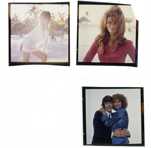 TON_Raquel_contact_082: Raquel Welch