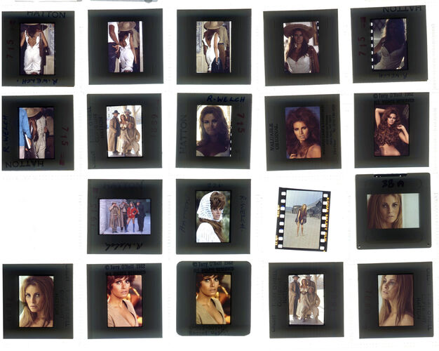 TON_Raquel_contact_095: Raquel Welch