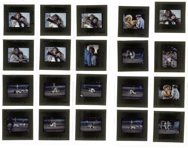 TON_Raquel_contact_099: Raquel Welch