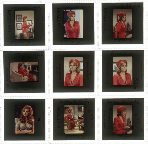 TON_Raquel_contact_111: Raquel Welch