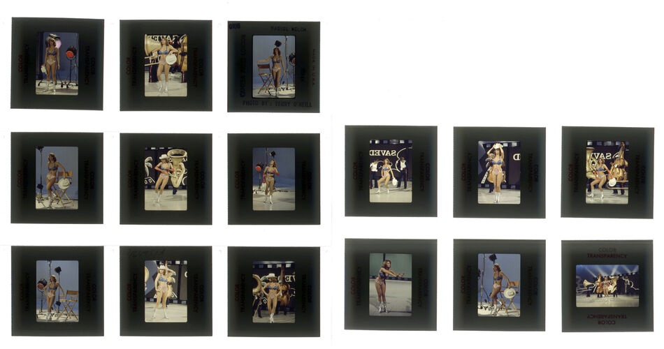 TON_Raquel_contact_117: Raquel Welch