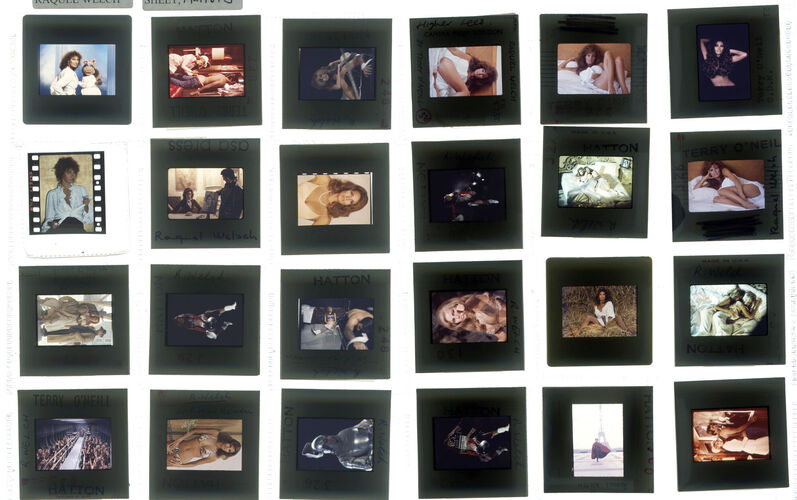 TON_Raquel_contact_120: Raquel Welch