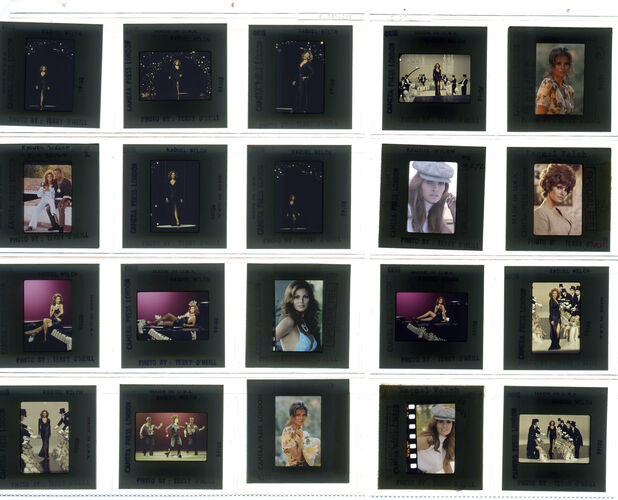 TON_Raquel_contact_122: Raquel Welch