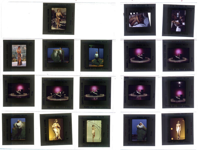 TON_Raquel_contact_124: Raquel Welch