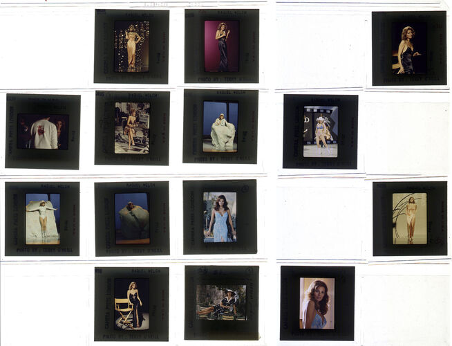 TON_Raquel_contact_126: Raquel Welch