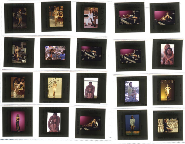 TON_Raquel_contact_127: Raquel Welch