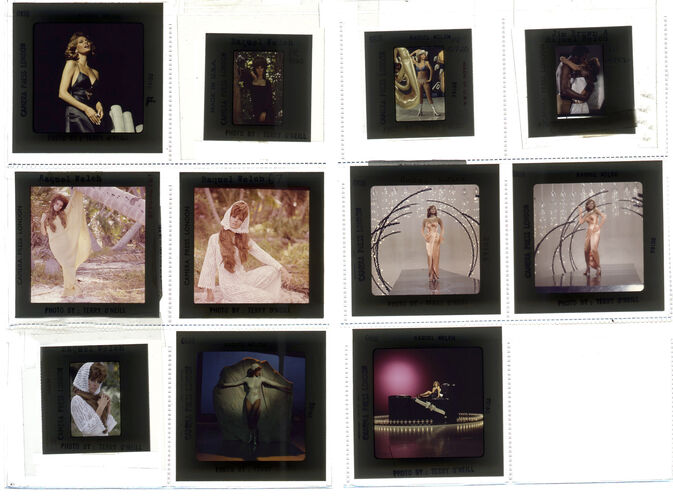 TON_Raquel_contact_128: Raquel Welch