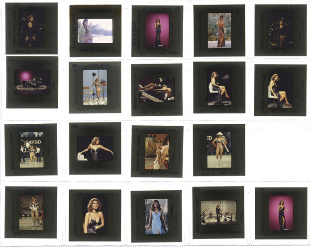 TON_Raquel_contact_129: Raquel Welch