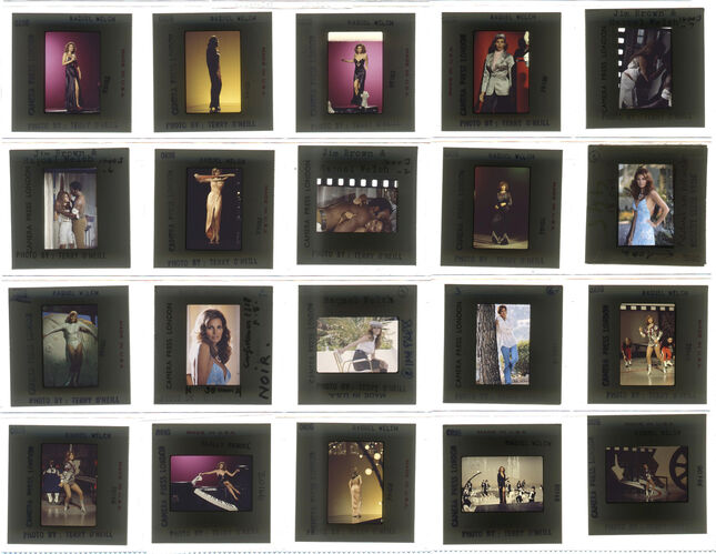 TON_Raquel_contact_130: Raquel Welch