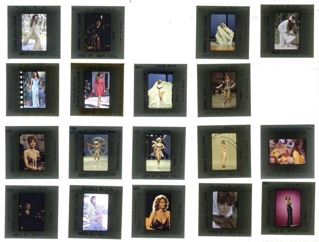 TON_Raquel_contact_131: Raquel Welch