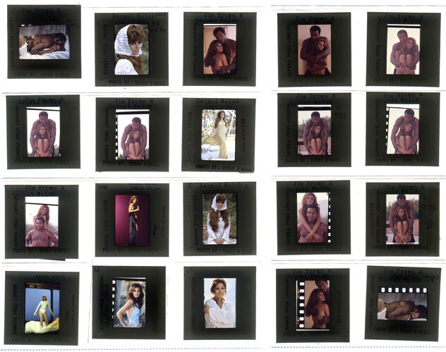 TON_Raquel_contact_132: Raquel Welch