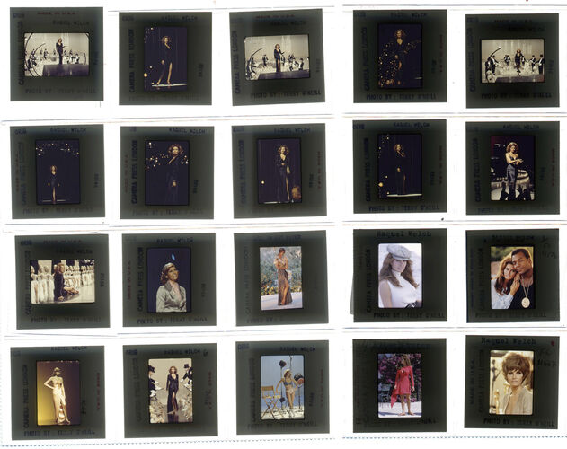 TON_Raquel_contact_135: Raquel Welch