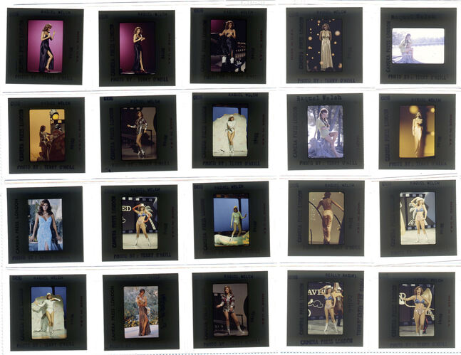 TON_Raquel_contact_136: Raquel Welch